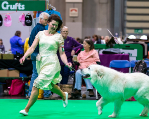Crufts