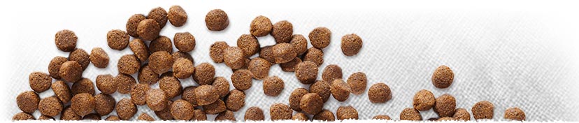 All About Dog Food Rating Updates